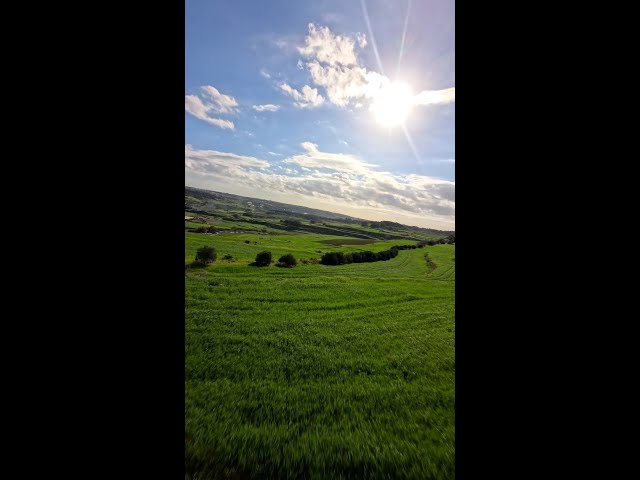 #ExploreMore Wander - across the green fields of #Malta 💚✨