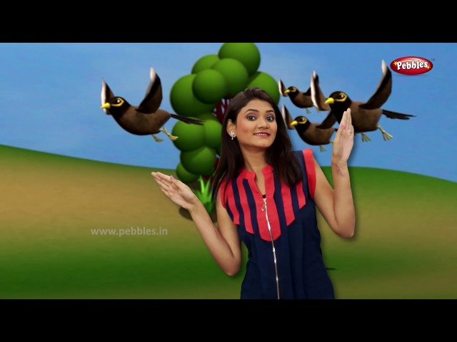 Gujarati Rhymes Collection For Children | Action Songs Collection in Gujarati | Birds Action Songs