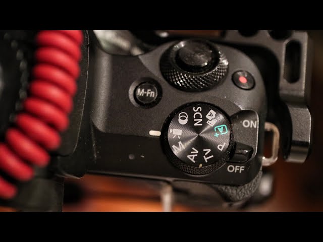 Should You Use Auto Or Manual Mode For The Canon Eos M50?