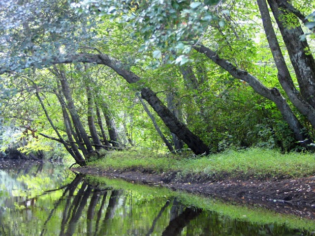 New Jersey Pinelands National Reserve | Wikipedia audio article