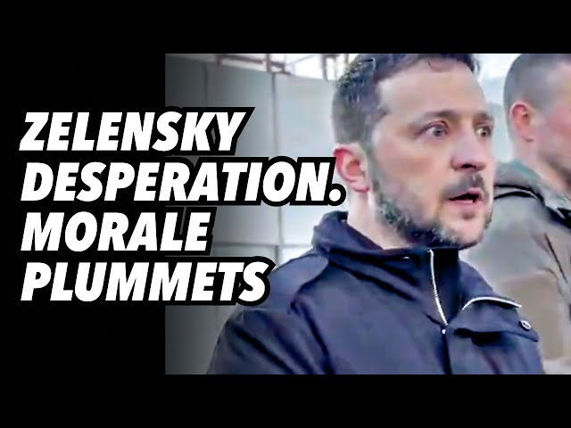 Zelensky desperation. Morale plummets