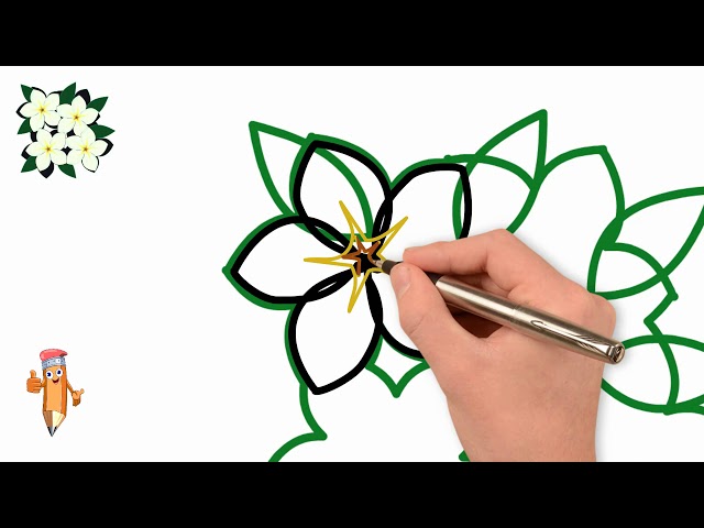 How to draw a flower, draw flowers step by step