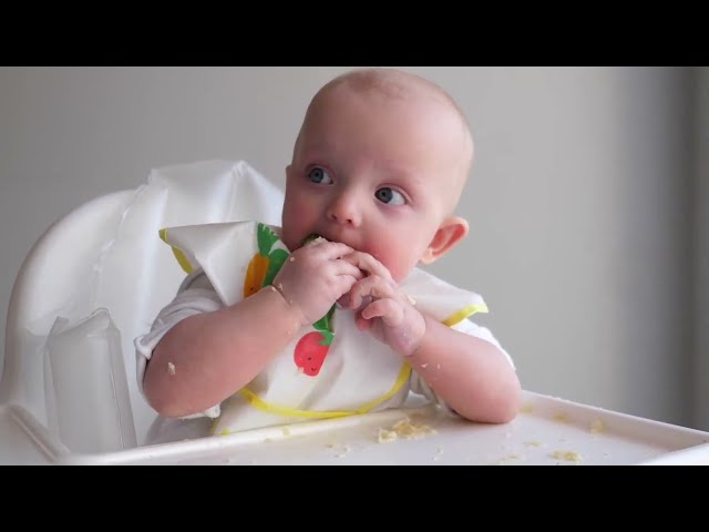 Top 5 Best Bibs for Babies Eating Solids