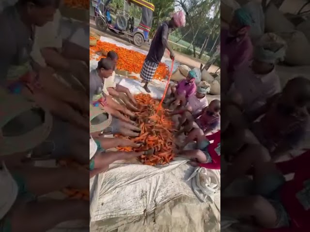 Carrot fun #trending #baby #funnyvideos #trendingfunny #latest #vijayakanth #viralshort #rajini