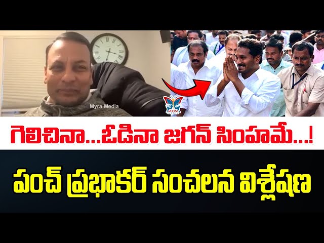 గెలిచినా ఓడినా జగన్ సింహమే...! Punch Prabhakar Goosebumps Words About YS Jagan Mohan Reddy | YSRCP