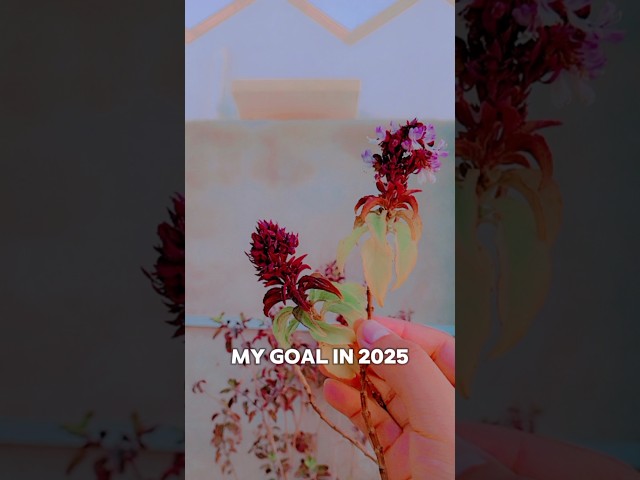 Goal in 2025⚡😎 #foryou #goals #motivation #2k25 #inspiration #selfgrowth #learnology