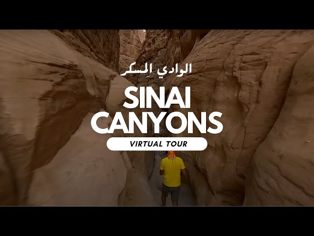 Sinai Canyons Virtual Tour الوادي المسكر