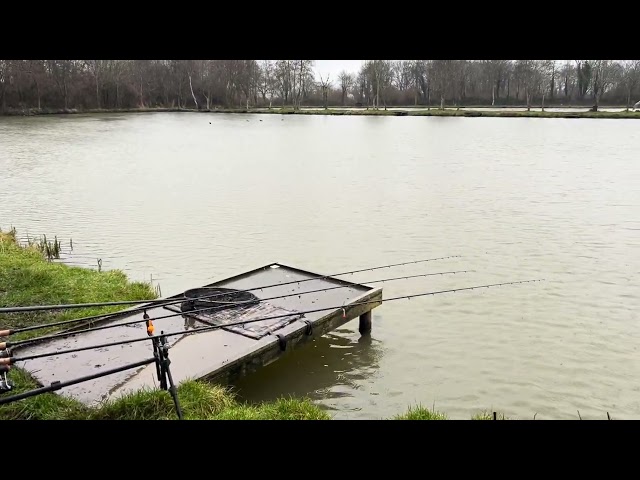 Carp Fishing Woodland Lakes 20 February 2025 - Skylark Lake Rain Came In Ended The Fishing