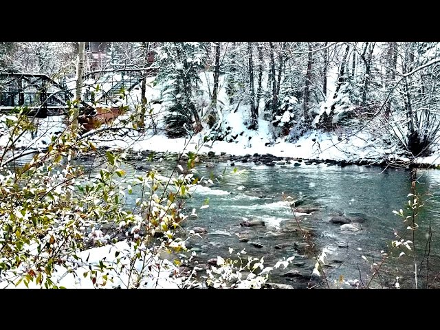 Snowstorm & Icy Cold River | Falling Snow  5 Hours I Relaxing, Sleeping, Meditation. HD 1080p