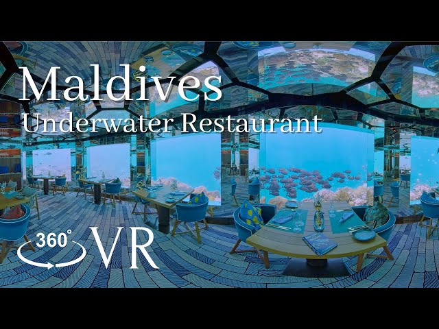 [8K VR 360] Most beautiful underwater restaurant in Maldives｜Anantara Kihavah, Resort in Maldives