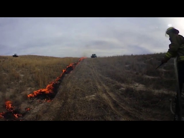 Prairie Fire: Controlling Invasive Species