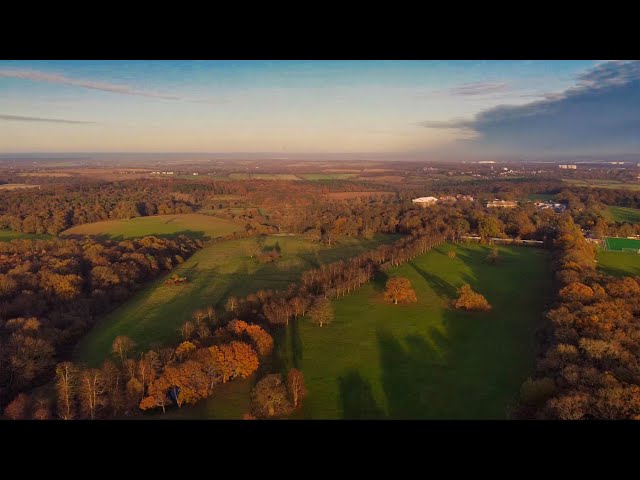 【Vlog】Britain's parks are beautiful!   