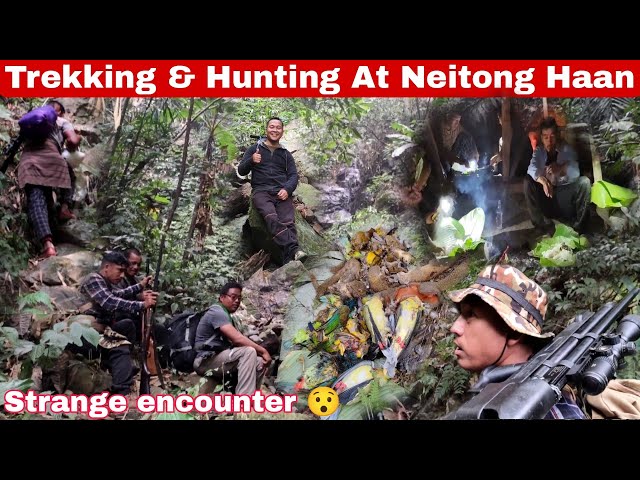 Trekking & hunting| interesting jungle vlogs @sammyvlogs3283 | must watch 😯