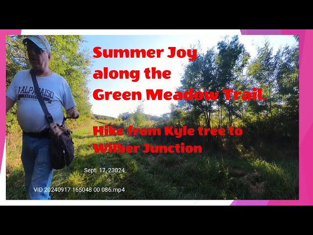 Summer Joy along the Green Meadow Trail. Hike from Kyle tree to Wilber Junction.