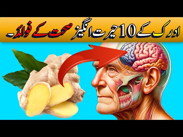 Adrak Ke Fayde | 10 Incredible Health Benefits of Ginger After 50 | Can’t Believe | Brilliant Facts