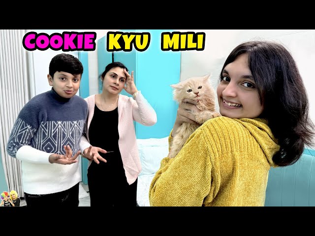 COOKIE KYU MILI | Vlog with a Moral | Aayu and Pihu Show