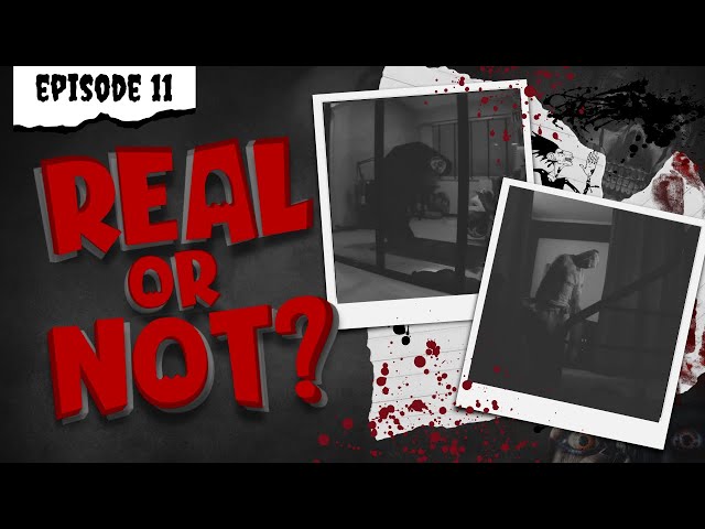 Real or Not - Episode Eleven (POVs)