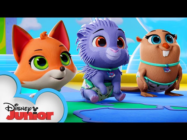 Sharing is Caring 🎁 | T.O.T.S.|  Disney Junior