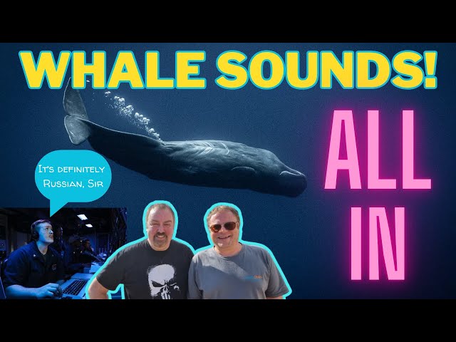 Royal Navy Makes a WHALE of a Mistake! - ALL IN