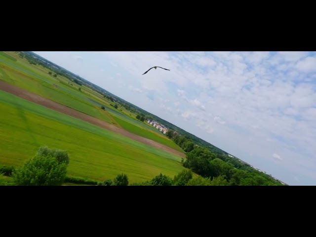 Arrival of the Birds | CINEMATIC FPV