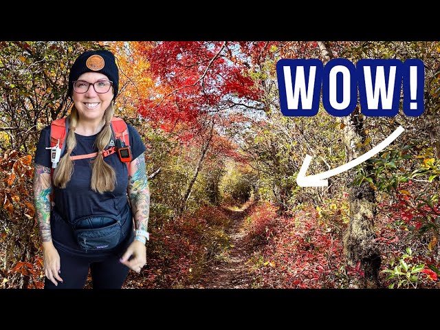 Fall hiking in Great Smoky Mountains on Huskey Gap Trail