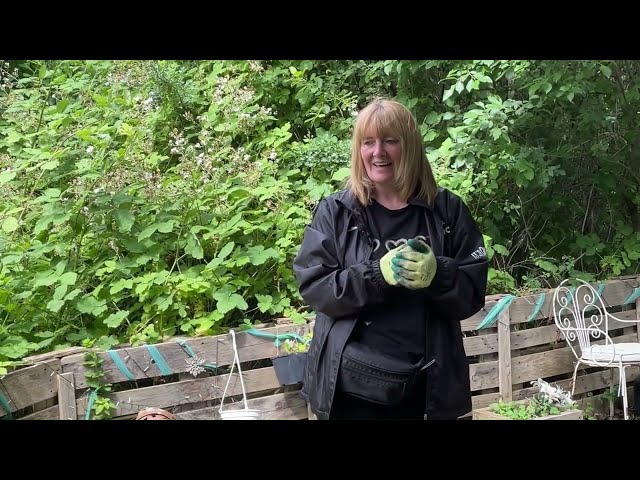 Community spirit transforming the local wild garden