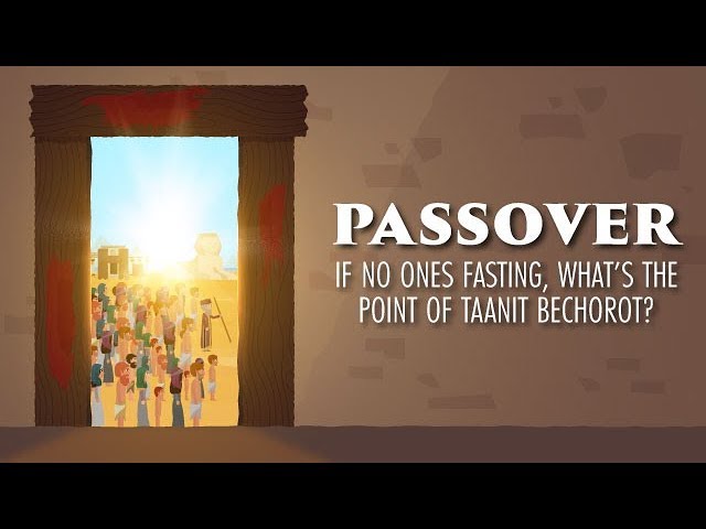 If No One's Fasting, What’s the Point of Taanit Bechorot?