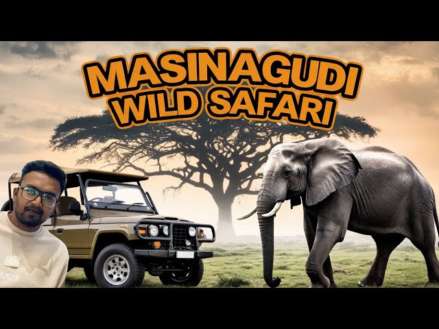 Masinagudi Tourist Place |Elephant encounter  | Mayar | Singara | Forest Safari