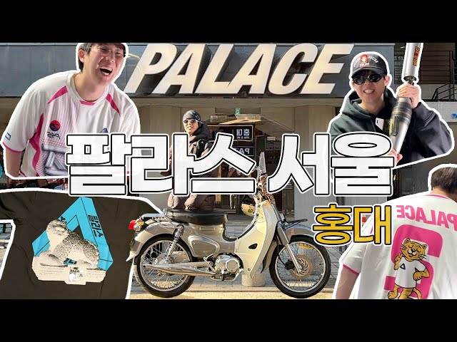 🛹 팔라스 서울 홍대 방문🔥, PALACE SEOUL HONGDAE, PALACE, 팔라스 후드, 팔라스 티셔츠, 익스클루시브, 팔라스, 슈프림, 스투시, 슈퍼커브