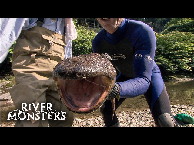 River Monsters Full Episode - Season 3, Episode 3 - Japanese Horrors