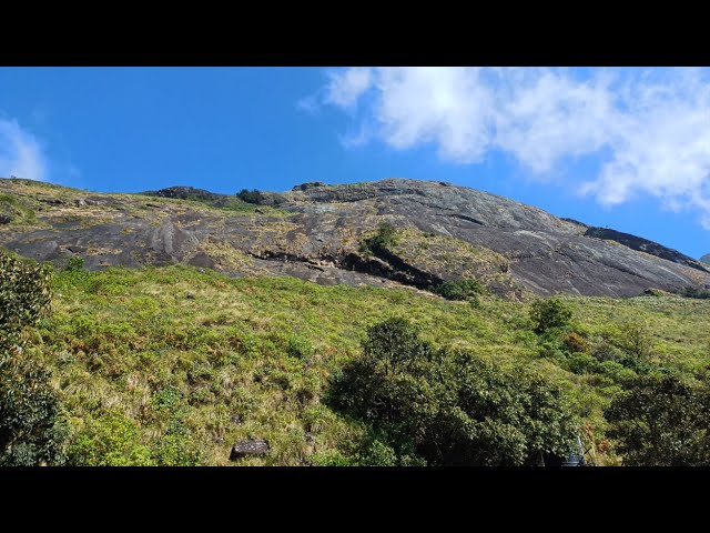 Eravikulam National Park – Home of the Endangered Nilgiri Tahr! 🌿🐐