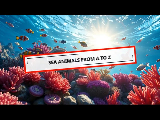 Ocean animals A to Z