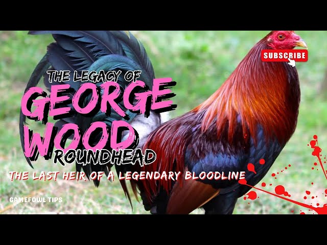 George Wood’s Lacy Roundhead: The Last Heir of a Legendary Bloodline