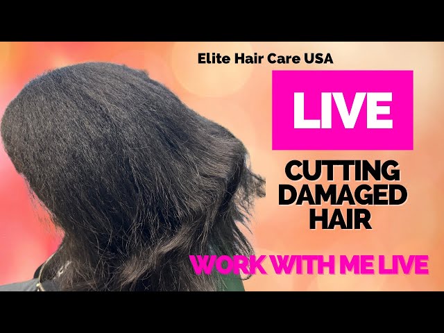 Client cuts off damaged hair | Work with me LIVE