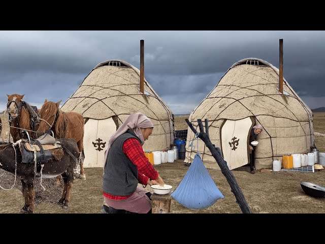 Nomadic life in remote mountains! Making Natural dairy product