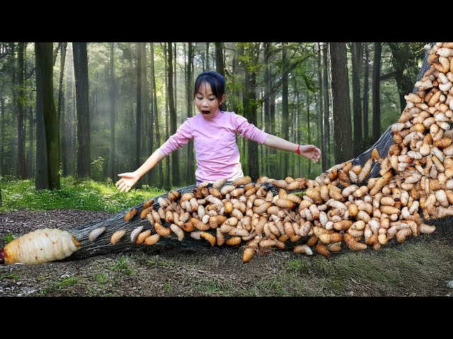 Harvest Creepy Crawlies and Go to Market Sell - Poor Girl Panicked When Stung | Poor Girl +