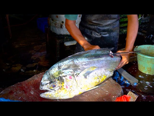 PERFECT FISH CUTTING || MAHI MAHI FISH CUTTING SKILLS #2025