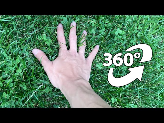 360 Touching grass for the first time... But It's 360 video toilet