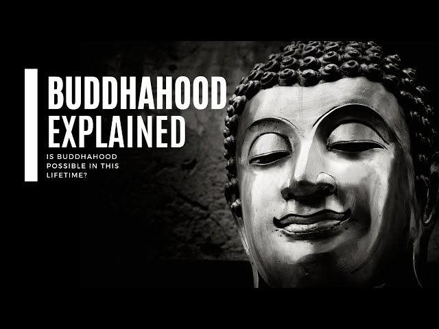 What Is Buddhahood? Is Buddhahood Possible in This Lifetime? Buddha's Teaching I Buddha's Lesson