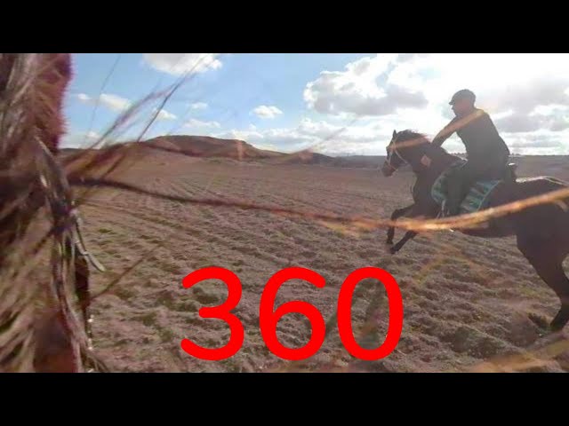 360 - Horse Riding Adventure #50 - Galloping In The Countryside - 360° VR 4K - GoPro Fusion