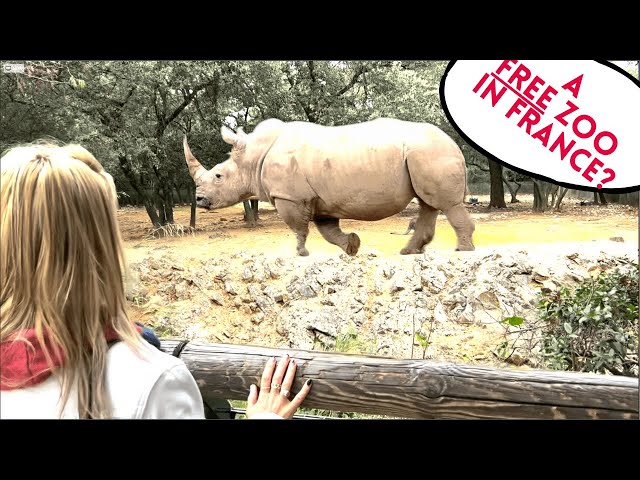 A Free Zoo in France? 🐾 Best Family Activities in Southern France!