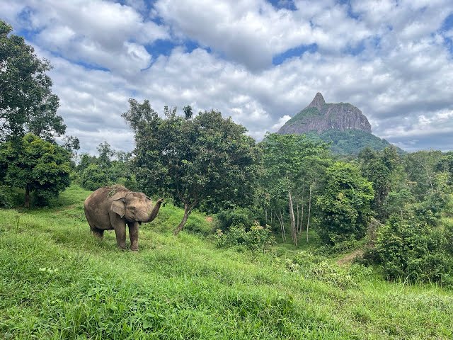 Batu Besak Hill and Isau-isau Nature Tourism Park