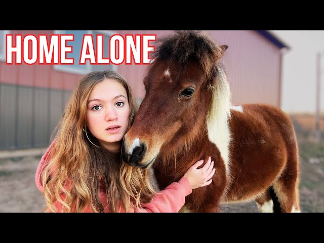 ❄️HOME ALONE❄️ with 60+ Farm Animals | Small Farm Christmas Series Ep. 2