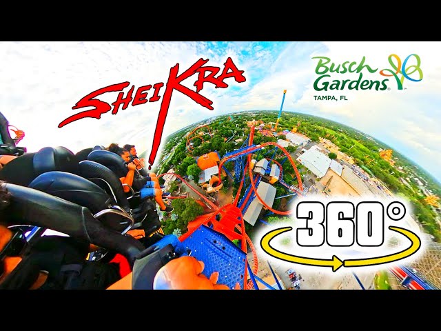 [4K VR 360°] SheiKra - Intense 200 ft Dive Coaster | Front Row POV | Busch Gardens Tampa Bay