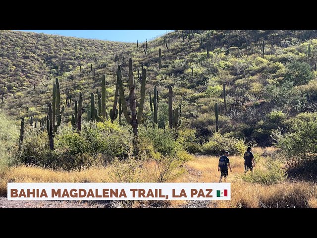 Bahia Magdalena Trail - La Paz, México 🇲🇽