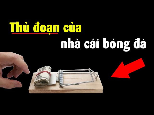 Nhà cái bẫy con mồi cá độ như thế nào??