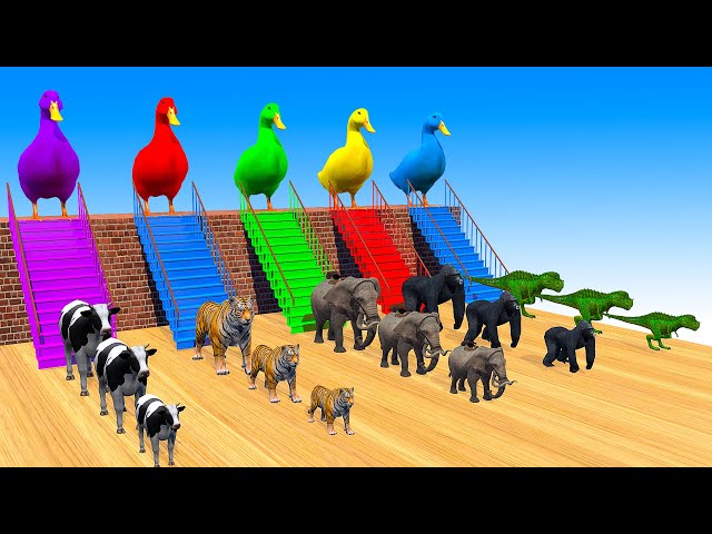 5 Giant Duck Cartoon,Tiger,Cow,rabbit,Gorilla,Dog,Cat,Dinosaur Wild Animals Crossing Fountain 2023