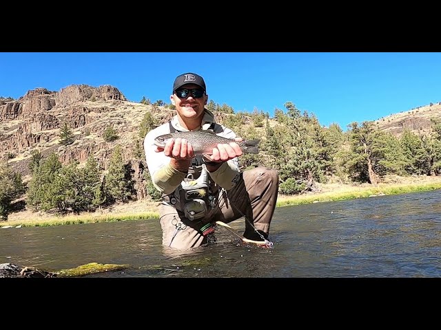 Fly Fishing the Crooked River // Central Oregon // BIG rainbow trout caught!