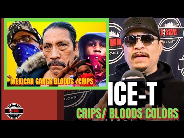 ICE-T on Bloods, Crips! I Know Gang Business! Creating The Colors Song!