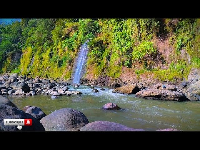 Peaceful River Flowing Sound. Gentle River, Relaxing Nature Sounds. White Noise for Sleep, Study